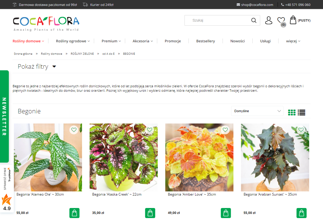 Begonie w domu i ogrodzie – jak wybrać idealną odmianę?